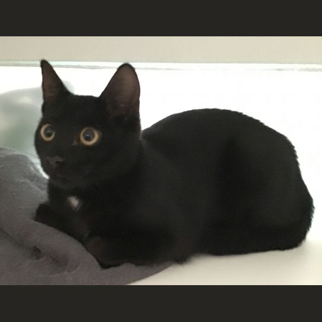Photo of Sailor Moon