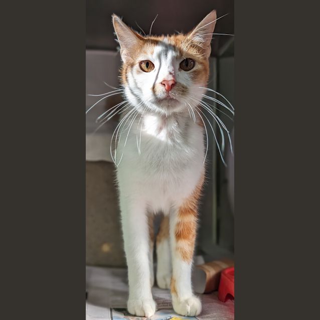 Photo of Rezzie