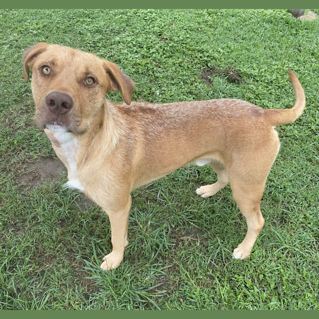 Photo of Bruno