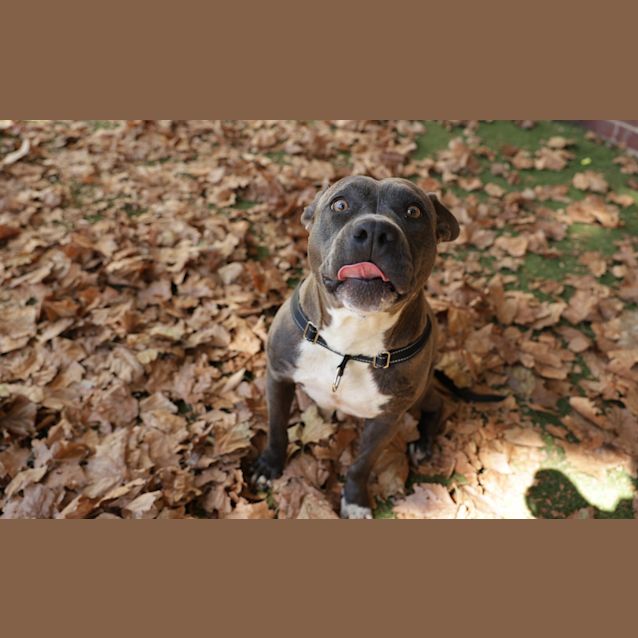Photo of Xena