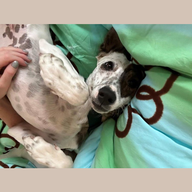 Photo of Dizzy Babbington