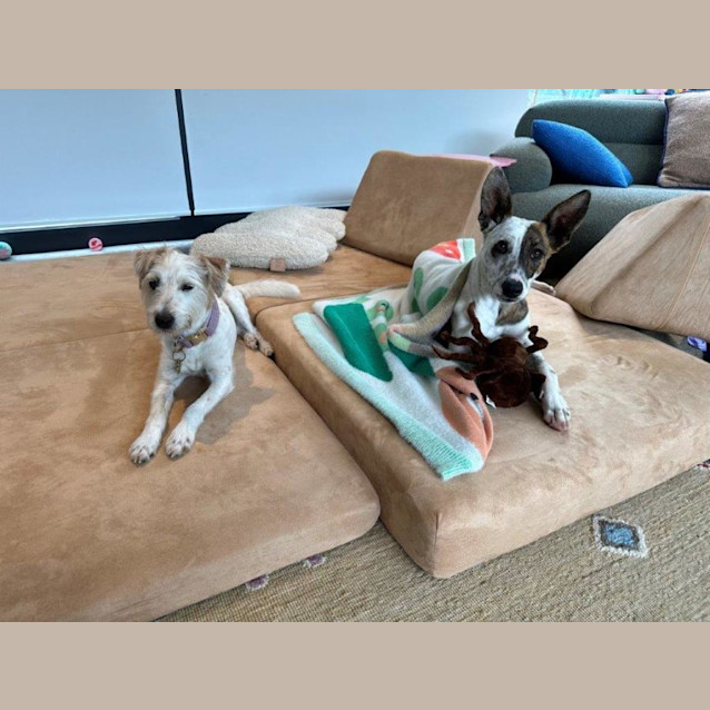 Photo of Dizzy Babbington