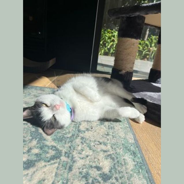 Photo of 🍞 Toast 🍞