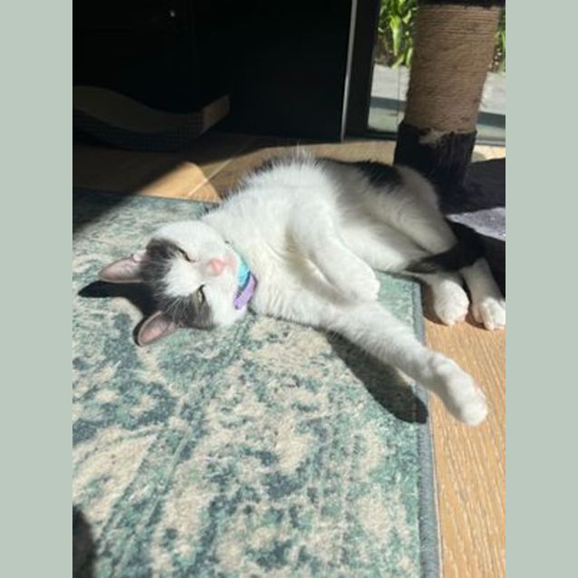 Photo of 🍞 Toast 🍞