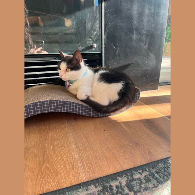 Photo of 🍞 Toast 🍞