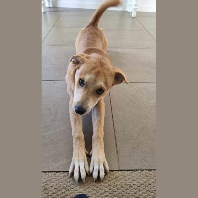 Photo of Ernie
