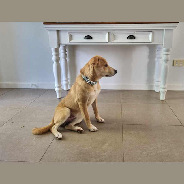 Photo of Ernie