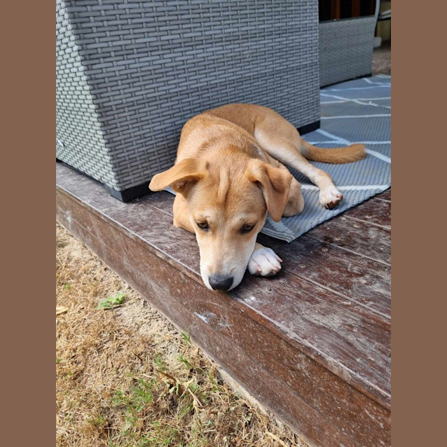 Photo of Ernie