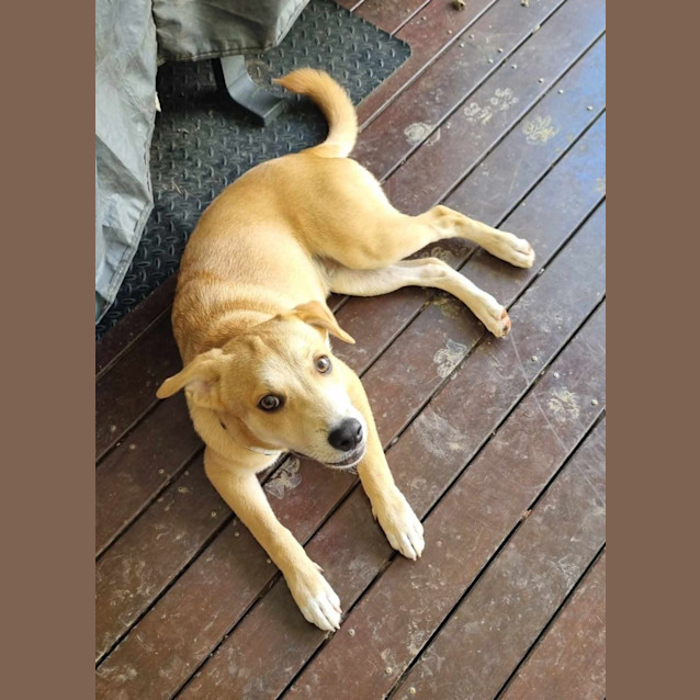 Photo of Ernie