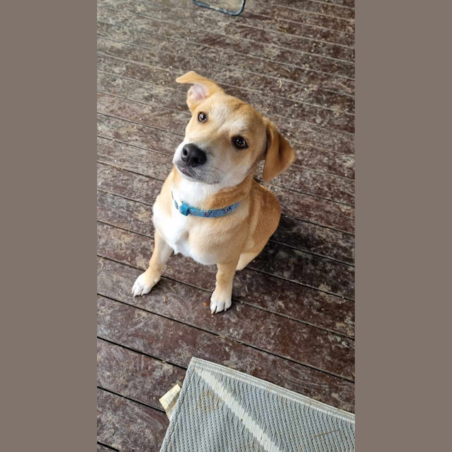 Photo of Ernie