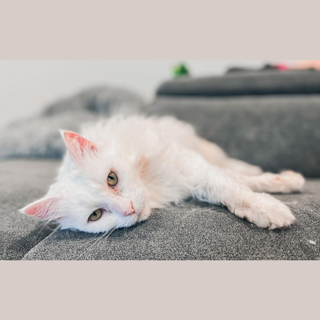 Photo of Margot