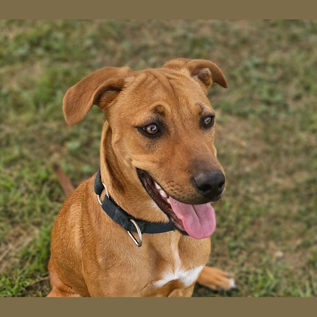 Photo of Ruby