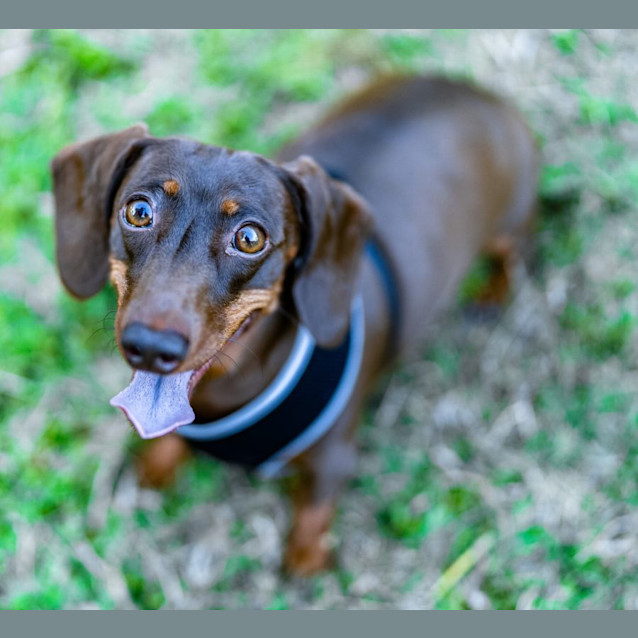 Photo of Molly And Freddy