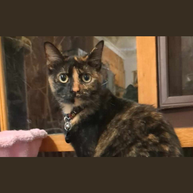 Photo of Curie