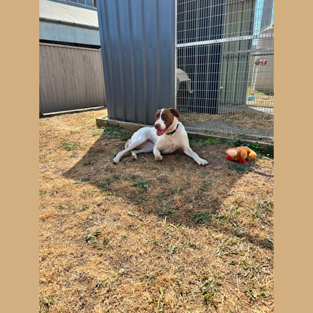 Photo of Molly