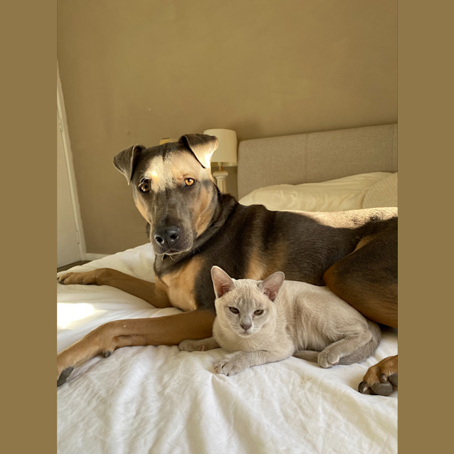Photo of Honey