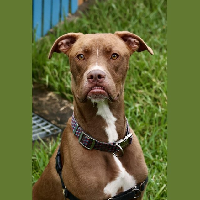 Photo of Remy