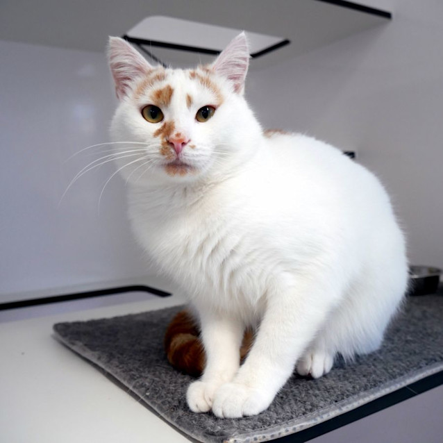 Photo of Fry Sta012304