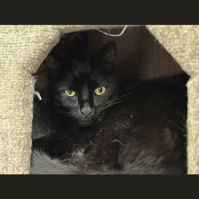 Photo of Harley