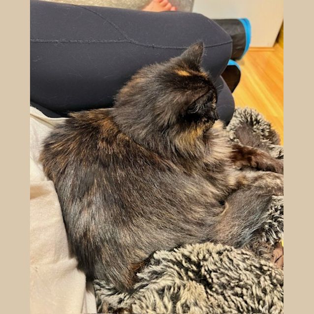 Photo of Lola