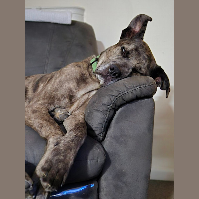 Photo of Master Dallas