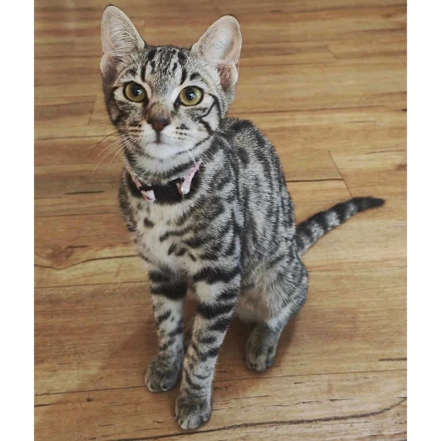 Photo of 10410   Ramona