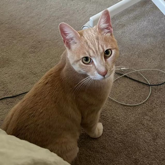 Photo of Prince 🤴 