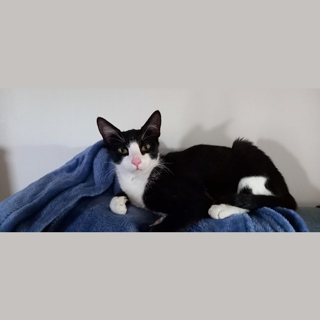Photo of Flossy