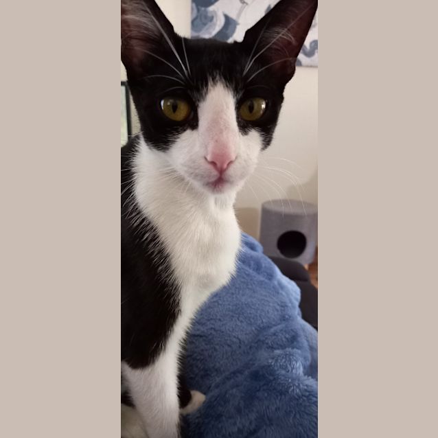Photo of Flossy