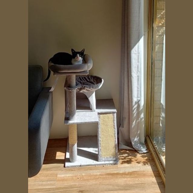 Photo of Flossy