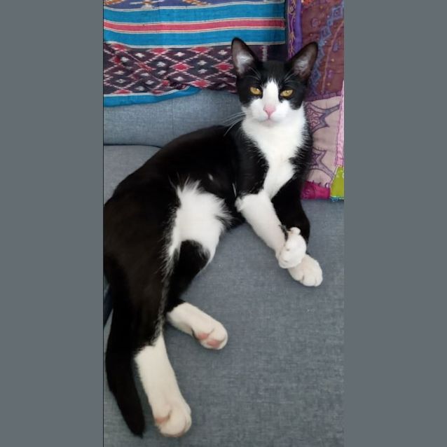Photo of Flossy