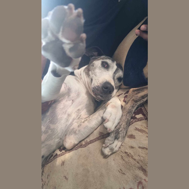 Photo of Storm