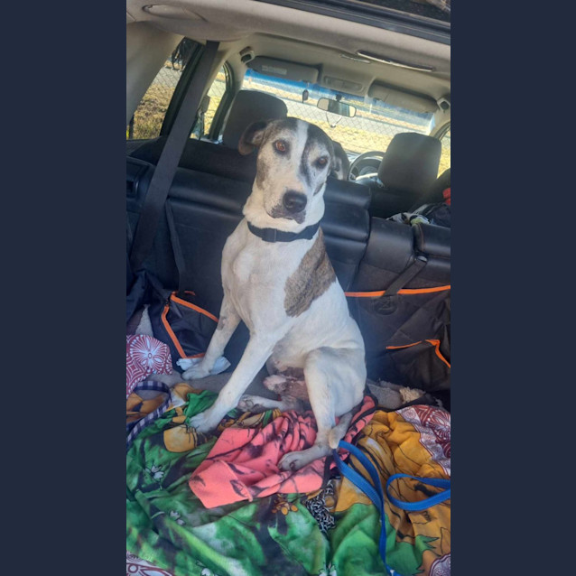 Photo of Storm