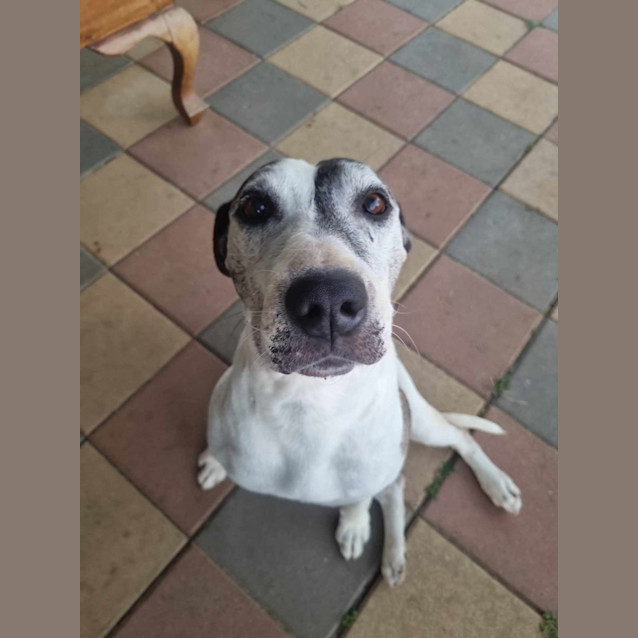 Photo of Storm