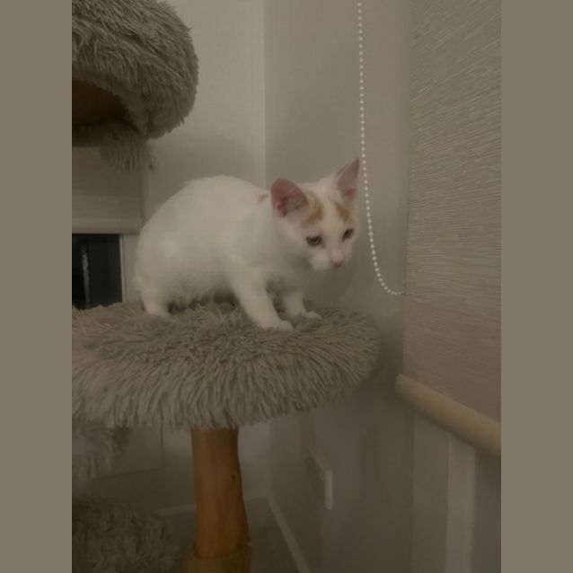 Photo of August Meet Me@Petstock Dandenong Store