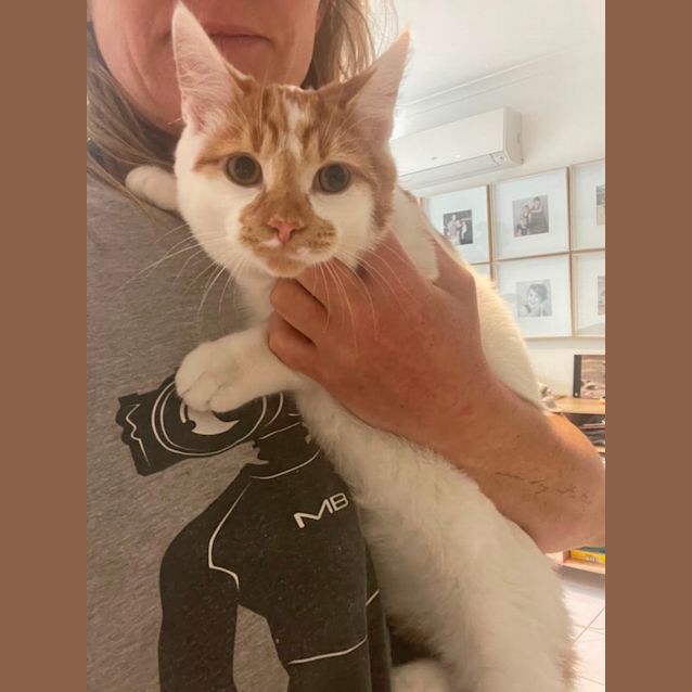 Photo of Taylor Meet Me At Petstock Dandenong Store 