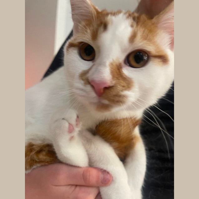 Photo of James Meet Me At Petstock Dandenong Store 