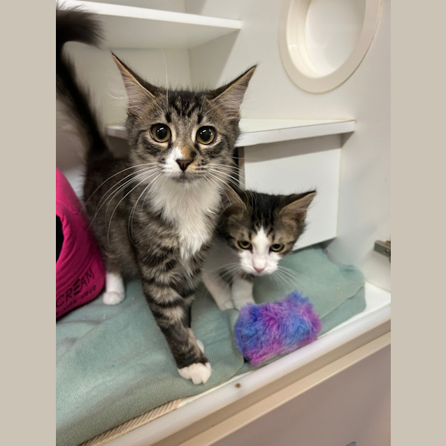 Photo of Penelope