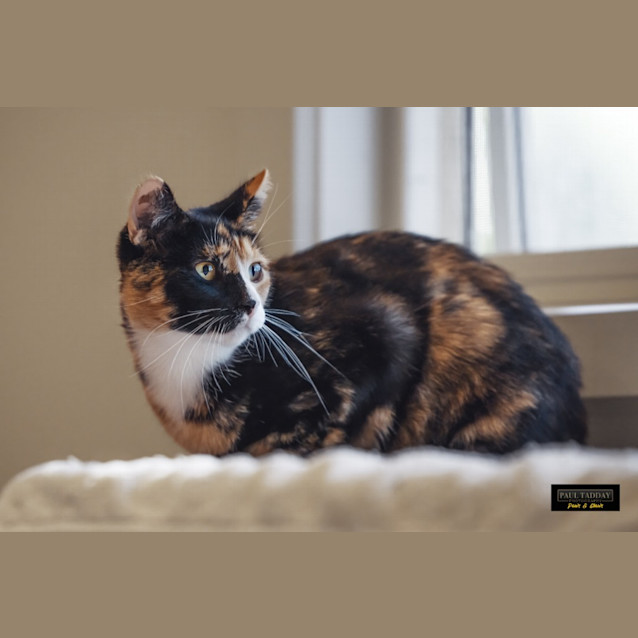 Photo of Mamma Hazel