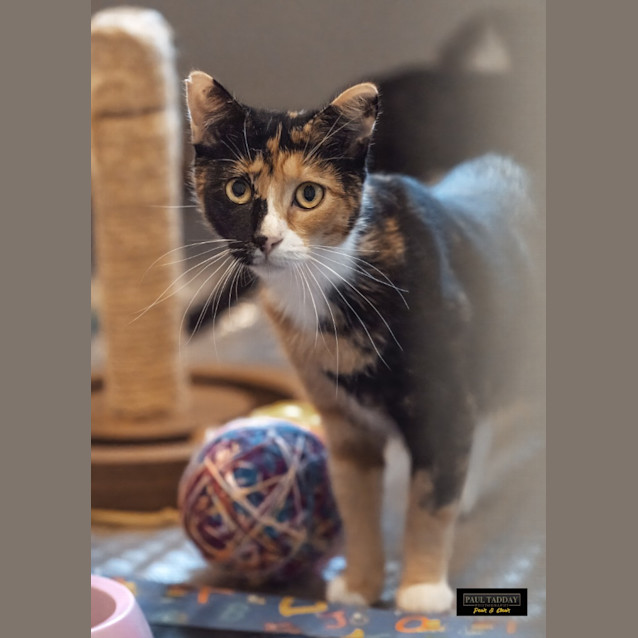 Photo of Mamma Hazel