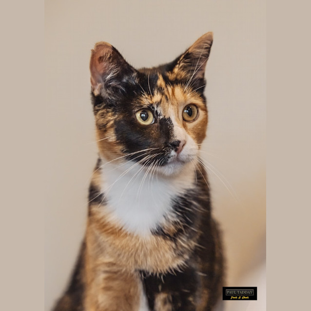 Photo of Mamma Hazel