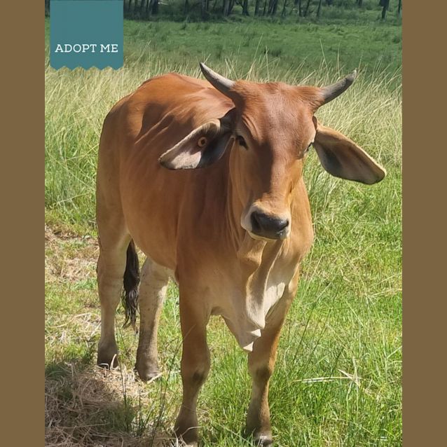 Photo of Aarna, Freya, And Zarina