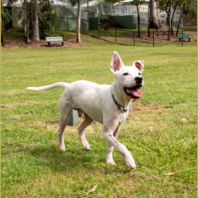 Photo of Sam