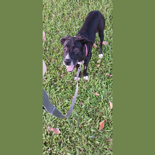 Photo of Kali 