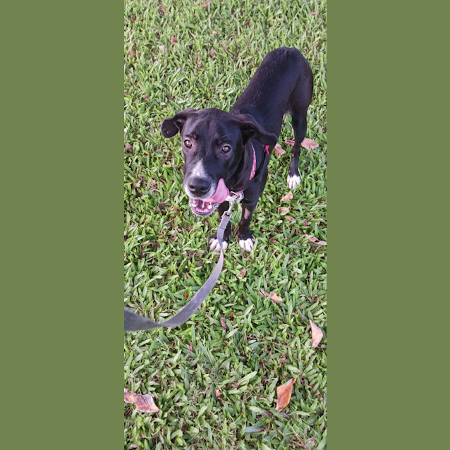 Photo of Kali 