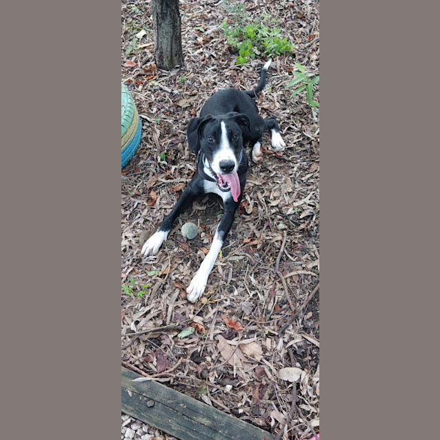Photo of Kali 