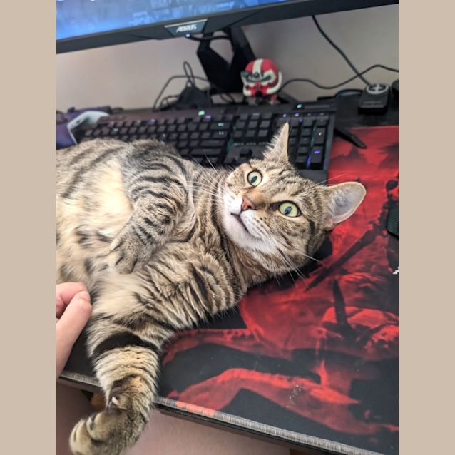 Photo of Ruby