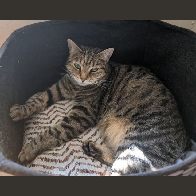 Photo of Ruby