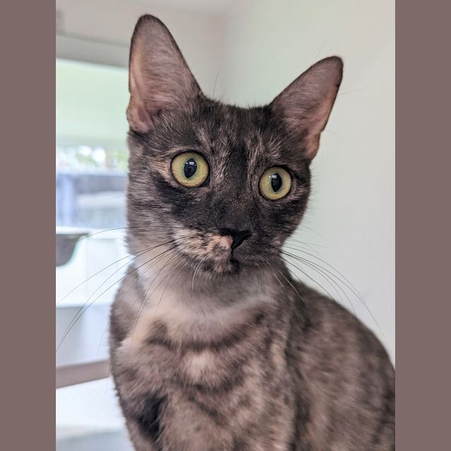 Photo of Molly