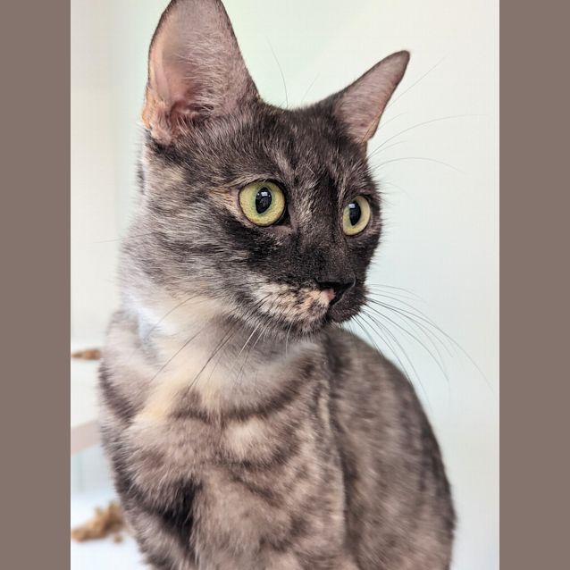 Photo of Molly